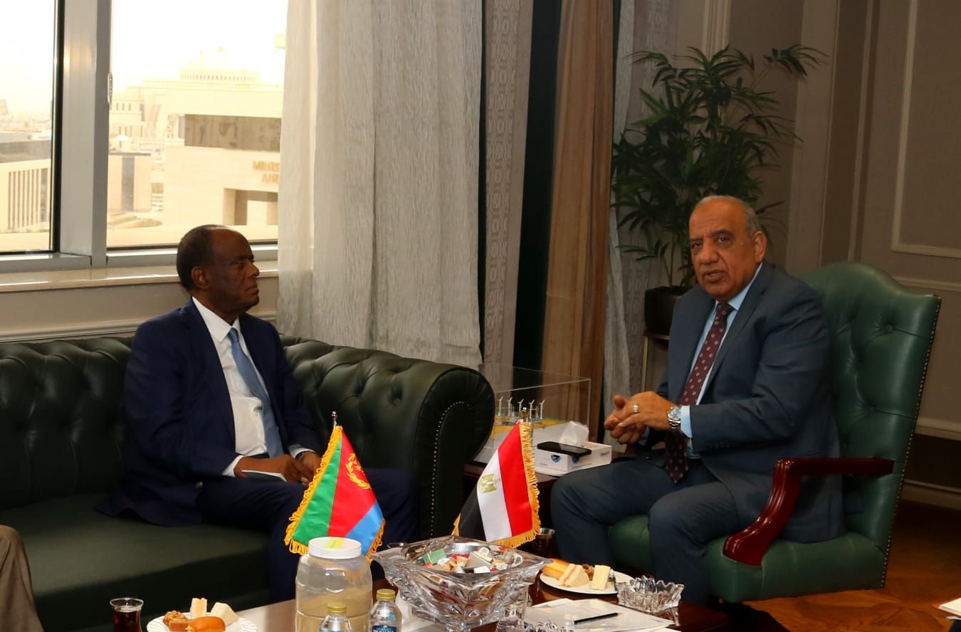 الكهرباء: دعم خطة التنمية المستدامة فى اريتريا وبرامج تدريبية لنقل الخبرات والدعم الفني - الخليج الان