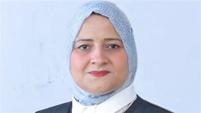 النائبة مروة قنصوه تتقدم بمقترح لتحقيق سوق طاقة آمن وتعزيز استخدام الطاقة الشمسية في المباني - الخليج الان