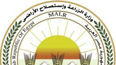 الزراعة تعلن حزمة دعم عاجلة لمتضرري السيول في سيناء واستصلاح أراضٍ على نفقة الوزارة - الخليج الان