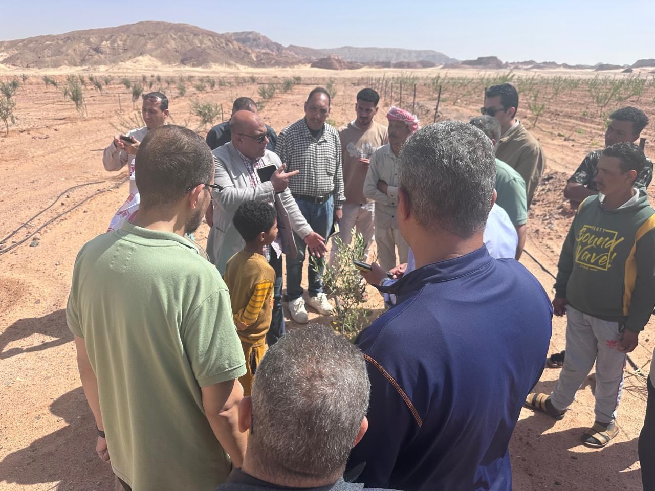 الزراعة تعلن حزمة دعم عاجلة لمتضرري السيول في سيناء واستصلاح أراضٍ على نفقة الوزارة - الخليج الان