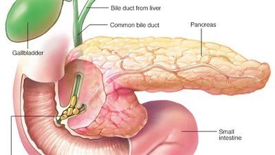 انتفاخ البطن وعلاقته بالبنكرياس بين الأعراض والتشخيص الطبي الدقيق - الخليج الان