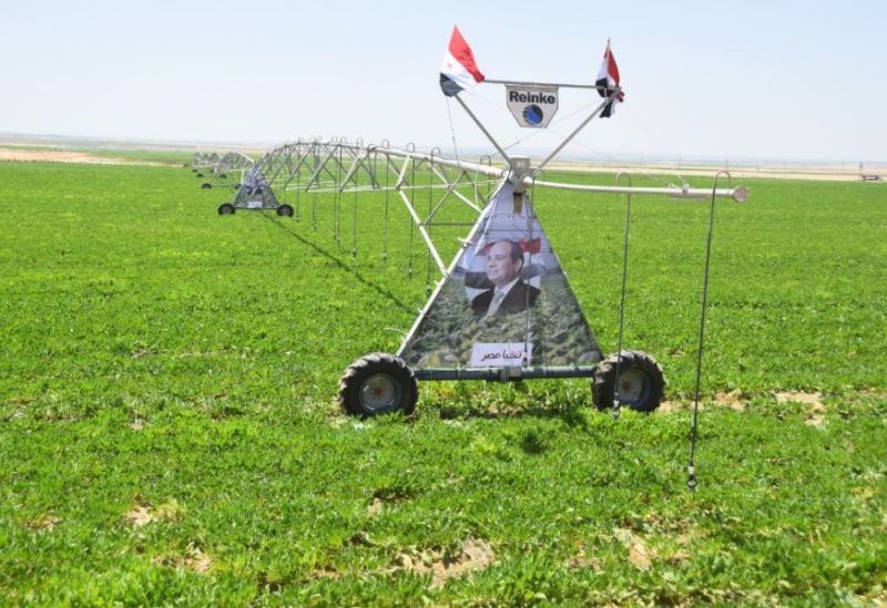 «مستقبل مصر» يقود التحول الزراعي.. دور محوري في توطين إنتاج التقاوي وتعزيز الأمن الغذائي - الخليج الان