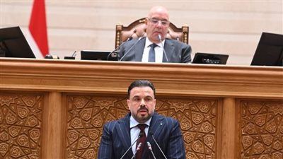 رئيس شباب النواب: رئيس اتحاد الكرة وحسام حسن يشاركان في اجتماع اللجنة لبحث الاستعداد للمونديال - الخليج الان
