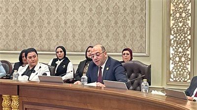 النائب أحمد العطيفي خلال صالون حماة الوطن لمناقشة قانون الأحوال الشخصية: سنطرح رؤى تشريعية متوازنة تستند إلى الواقع - الخليج الان