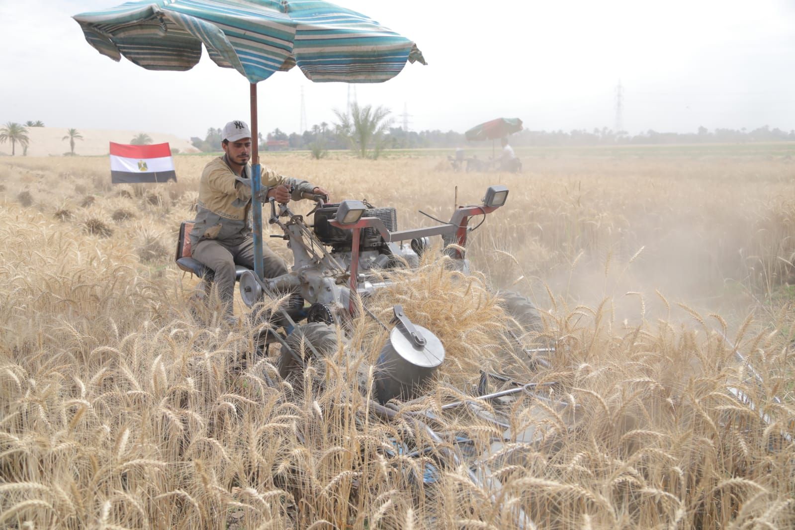 محافظ قنا يطلق إشارة بدء موسم حصاد القمح ويتفقد صومعة الترامسة - الخليج الان