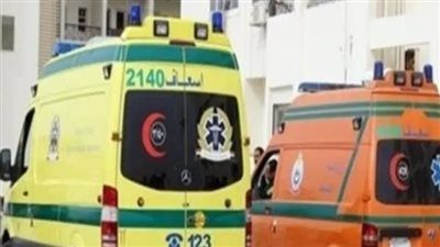 مصرع مواطن وإصابة آخر في حادث بطريق أسيوط الغربي بالفيوم - الخليج الان