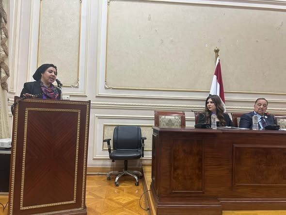 أميرة صابر: حماية الطلاب من الاعتداءات تتطلب إصلاحات جذرية في المنظومة التعليمية - الخليج الان