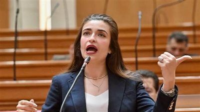 النائبة إيرين سعيد تتقدم بطلب إحاطة بشأن حق الطفل المصري في تعليم متوازن - الخليج الان