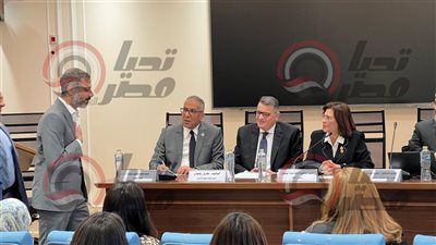 رئيس تضامن النواب: الطفل المتضرر الأكبر من الطلاق.. وغياب التوثيق يفاقم أزمات الطلاق والنفقة - الخليج الان