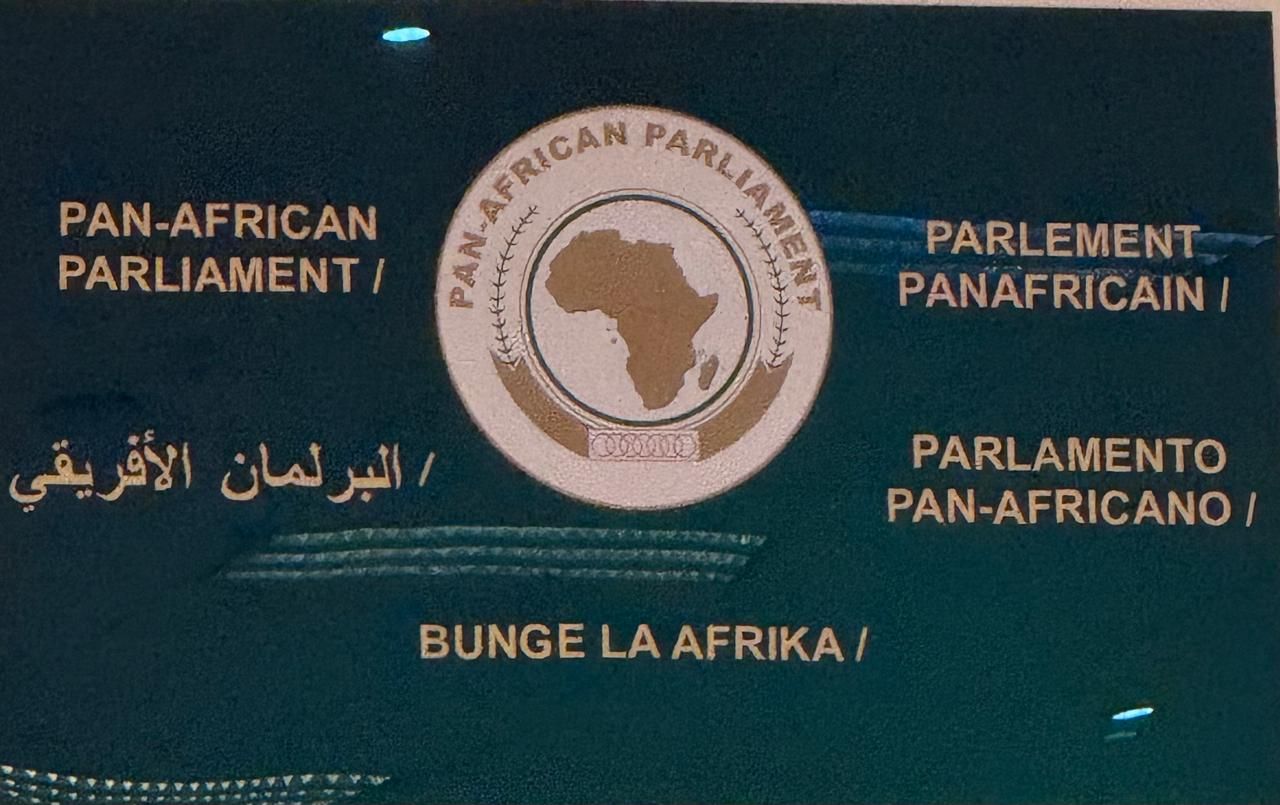 النائب محمد عبادة عضوا بالبرلمان الافريقى - الخليج الان