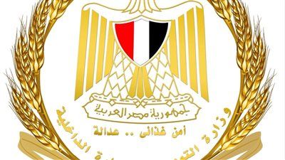 توريد 273 الف طن بنجر سكر لمصانع ابو قرقاص بالمنيا واستلام 6 مليون طن قصب - الخليج الان