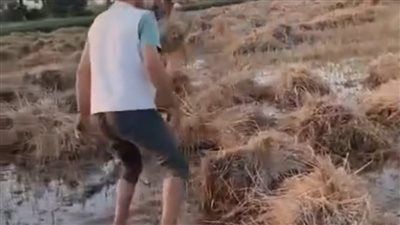 انفجار خط مياه يُغرق أرض قمح في “هواه – المقطع” ويقضي على موسم زراعي كامل - الخليج الان