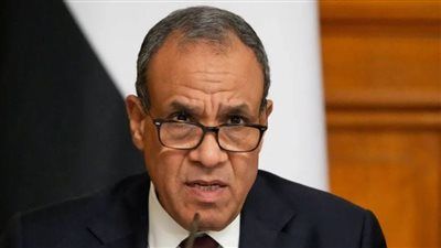 وزيرا خارجية مصر وتنزانيا: سد «جوليوس نيريري» علامة فارقة في تطوير العلاقات بين البلدين - الخليج الان