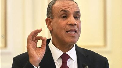 وزير الخارجية يحذر: استمرار التصعيد يهدد بجر الشرق الأوسط إلى حالة من الفوضى - الخليج الان
