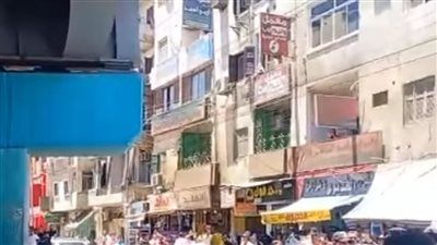 إنقاذ قطة يوقف الزحام أعلى كوبري نجع حمادي.. تدخل سريع من الحماية المدنية - الخليج الان