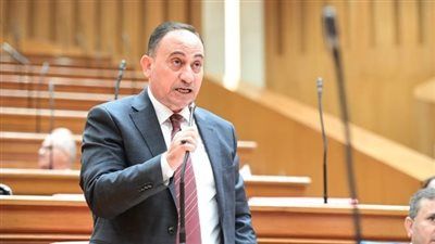 النائب محمد زين الدين: رضا المواطن المؤشر الحقيقي لنجاح واستقرار الاقتصاد - الخليج الان