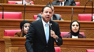 «الحكومة بتقترض عشان تسدد وبعدين تسدد عشان تقترض».. النائب حسن عمار يرفض الحساب الختامي ويحذر من تفاقم الديون - الخليج الان