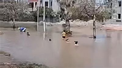 بقا مسبح للصغار .. غرق شارع المجاورة 54 بالعاشر في الشرقية بعد كسر مفاجئ في ماسورة مياه - الخليج الان
