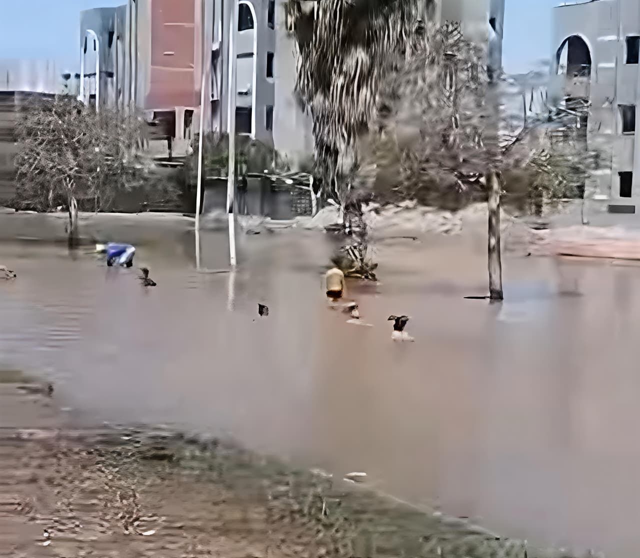 بقا مسبح للصغار .. غرق شارع المجاورة 54 بالعاشر في الشرقية بعد كسر مفاجئ في ماسورة مياه - الخليج الان