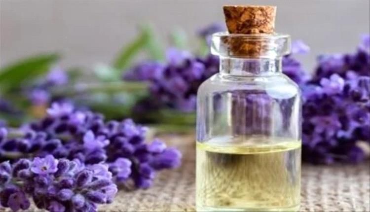 يقلل التوتر العصبي.. تعرف على فوائد زيت اللافندر للجسم