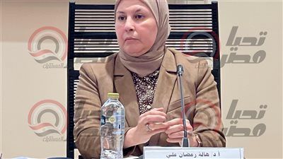 مدير المركز القومي للبحوث الاجتماعية والجنائية: ارتفاع معدلات العنف وتغيّر أنماط الجريمة يرتبطان بهشاشة العلاقات الاجتماعية والاضطرابات النفسية - الخليج الان