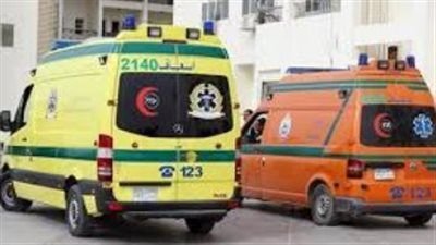 مصرع طالبة بكلية الطب ومهندس في حادث سيارة ميكروباص بقنا - الخليج الان
