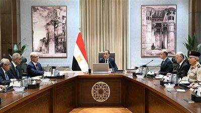رئيس الوزراء يتابع موقف طرح عدد من الشركات الحكومية في البورصة - الخليج الان