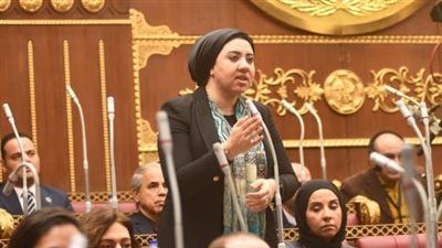 لحماية حقوق المبدعين في العصر الرقمي.. أميرة صابر توضح تفاصيل مقترح الفنان ياسر جلال “حق الأداء العلني” - الخليج الان