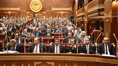 الاثنين المقبل.. الشيوخ تناقش إنشاء كوبري جديد ومحاور مرورية ومشروعات مياه وصرف صحي بالمحافظات - الخليج الان