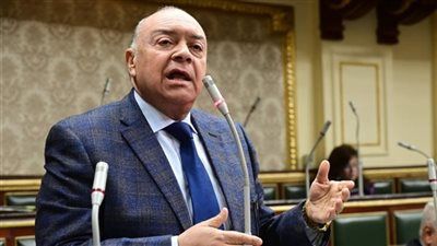 النائب وحيد قرقر: مد وقف "ضريبة الأطيان" انحياز حقيقي للمزارع البسيط وتخفيف لأعباء المعيشة - الخليج الان