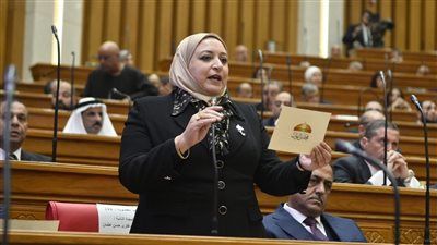 النائبة سحر عثمان: أزمة التأمينات ليست أرقامًا.. بل حقوق مواطنين تنتظر الحل - الخليج الان