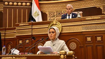 سحر نصر تستعرض تقرير لجنة الشئون المالية والاقتصادية والاستثمار بشأن خطة التنمية الاقتصادية والاجتماعية للعام المالي 2026/2027 - الخليج الان