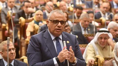 رئيس برلمانية حماة الوطن بالشيوخ يعلن موافقته على خطة التنمية الاقتصادية والاجتماعية للعام المالي ٢٠٢٦ - ٢٠٢٧ - الخليج الان