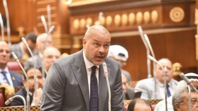 قدموا كتير لمصر.. النائب أحمد دياب يطالب بإنشاء صندوق لقدامي الرياضيين لدعمهم وتخفيف الأعباء عنهم - الخليج الان