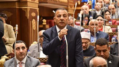 النائب عمر زايد بمناقشات خطة التنمية: دعم المشروعات الصغيرة ودمج الاقتصاد غير الرسمي ضرورة لتعزيز النمو - الخليج الان