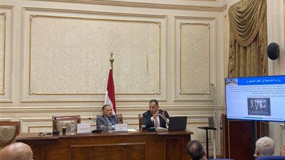 برئاسة النائب الدكتور محمد كمال.. لجنة الشؤون الخارجية بالشيوخ توصي بدعم رقمنة وأرشفة وثائق الخارجية وإتاحتها للباحثين والمؤرخين - الخليج الان