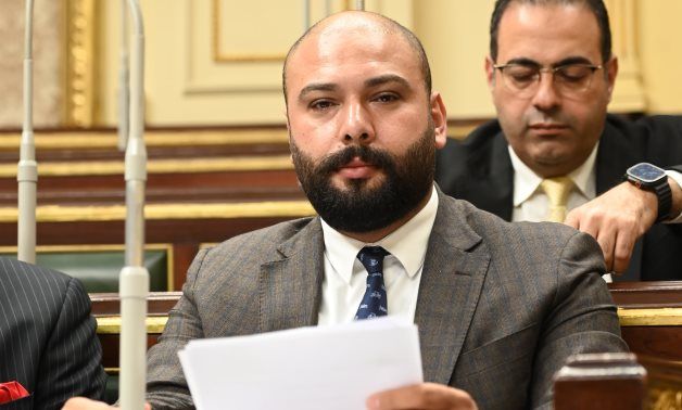 النائب إبراهيم الديب يرفض تصدير الكلاب: لو صدرناها هتتاكل بره - الخليج الان