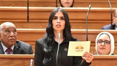 النائبة هايدي المغازي تتقدم بطلب إحاطة بشأن هيكل أجور أعضاء هيئة التدريس بالجامعات الحكومية - الخليج الان