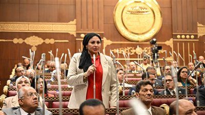 النائبة شيرين صبري: كلمة الرئيس السيسي في قمة السبع عكست رؤية مصر الحكيمة تجاه أزمات العالم - الخليج الان