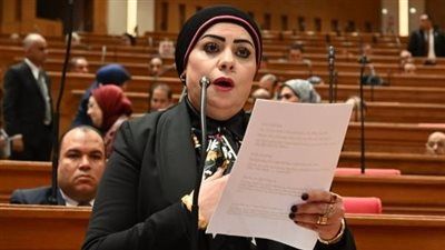 النائبة جيهان شاهين: مشاركة الرئيس عبدالفتاح السيسي في قمة السبع تؤكد مكانة مصر كشريك مؤثر في صياغة مستقبل الاقتصاد العالمي - الخليج الان