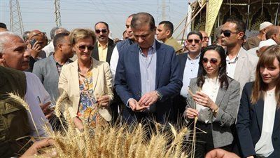 "الزراعة" في ذكرى 30 يونيو.. طفرة تاريخية ونقلة نوعية في قطاع الزراعة والأمن الغذائي - الخليج الان