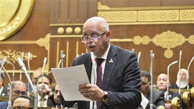 النائب حازم الجندي: إطلاق الصناديق الاستثمارية الجديدة تعكس رؤية الدولة لبناء قاعدة صناعية قوية ومستدامة - الخليج الان