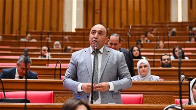 حسام حسن يتقدم بطلب إحاطة حول الهجرة الداخلية: هل تتماشى الاستثمارات مع توزيع السكان وفرص العمل؟ - الخليج الان