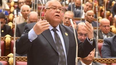 ناجي الشهابي لـ تليجراف الخليج: مصر بحاجة إلى تشريع رادع يجرم تمكين القصر وغير المرخص لهم من قيادة السيارات - الخليج الان