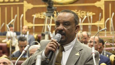 النائب أحمد حافظ: القاهرة أصبحت عاصمة صناعة التوافقات الإقليمية بفضل دبلوماسية الرئيس السيسي - الخليج الان