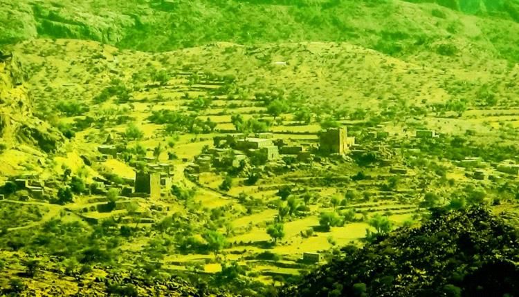 الضالع .. نجل شهيد يلقي حتفه في الازارق أثناء رعيه الأغنام