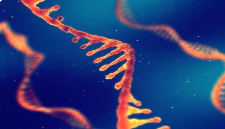 آلة كاتبة للحياة.. علماء هارفارد ينحتون الحمض النووي بالكهرباء والماء