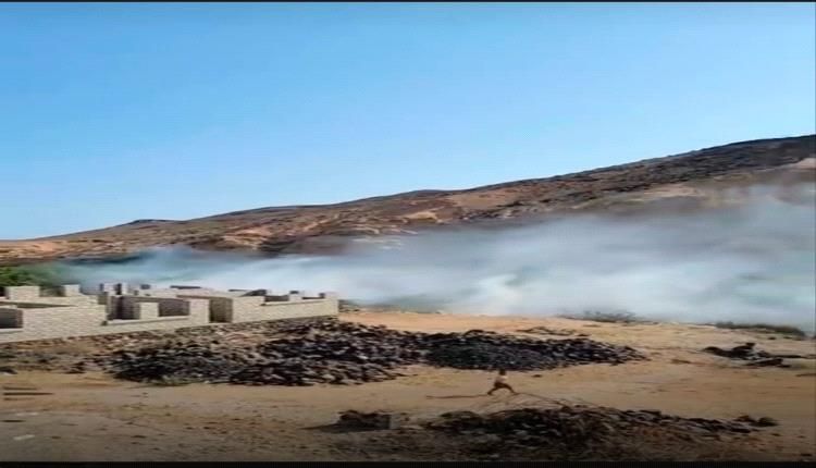 حرائق متكررة تطال واحات النخيل في حضرموت تثير تساؤلات