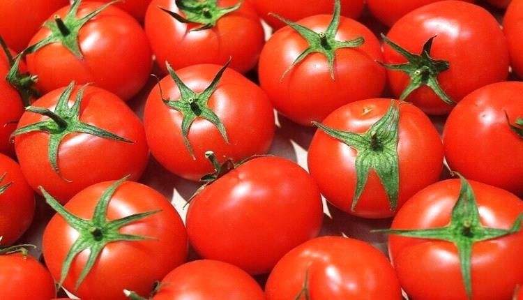 سر غذائي في الطماطم !
