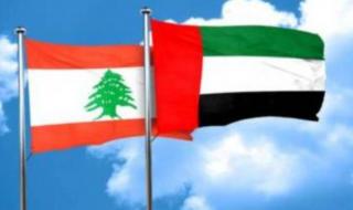 الإمارات تقدم مساعدات لأكثر من 35 ألف أسرة في شمال لبنان
